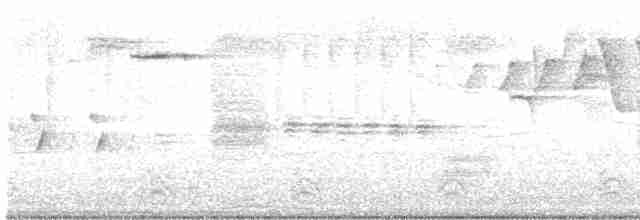 Дрізд-короткодзьоб Cвенсона - ML618672620