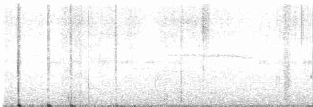Дрізд-короткодзьоб Cвенсона - ML618672621