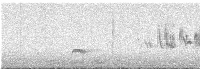 Black-throated Gray Warbler - ML618673002