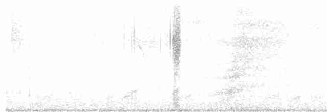 斑胸秧雞 - ML618673157