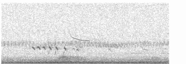 チュウシャクシギ（亜種 アメリカチュウシャクシギ） - ML618673373