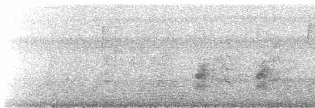 káně páskovaná (ssp. extimus) - ML618673610
