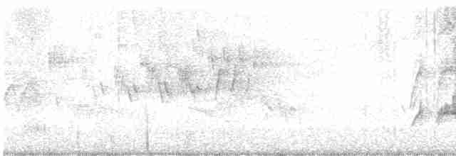 Cerulean Warbler - ML618673819
