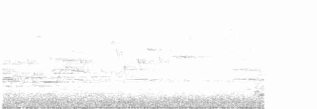 Münzevi Bülbül Ardıcı - ML618674388