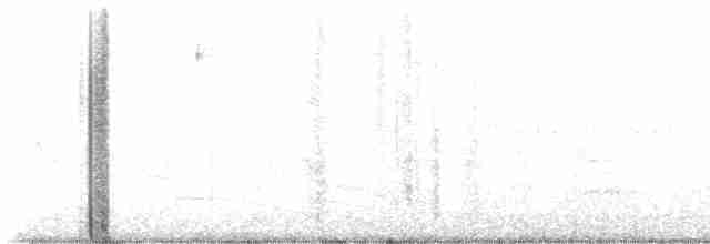 Yellow-rumped Warbler - ML618674728