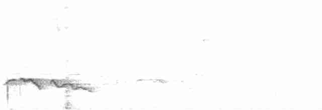 Kara Gagalı Koca Vireo - ML618675258