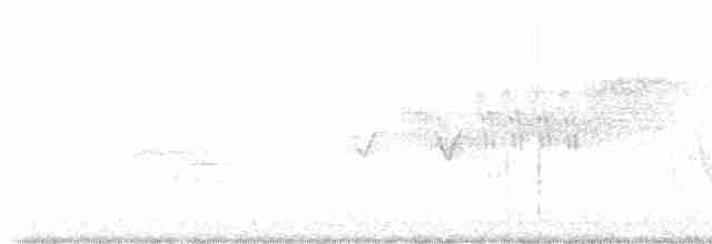 Cerulean Warbler - ML618675731