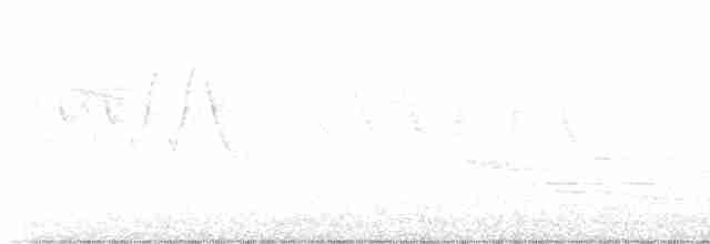 lesňáček modrokřídlý - ML618675912