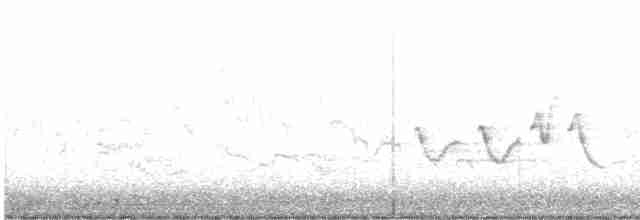 Hooded Warbler - ML618676497