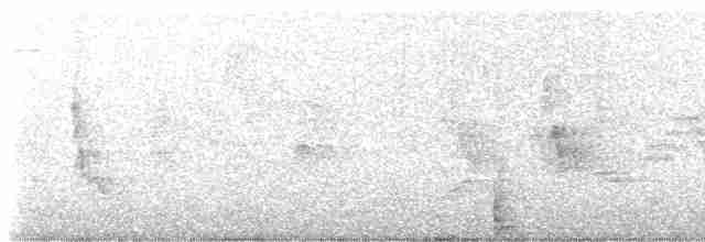 Дрізд-короткодзьоб Cвенсона - ML618676839