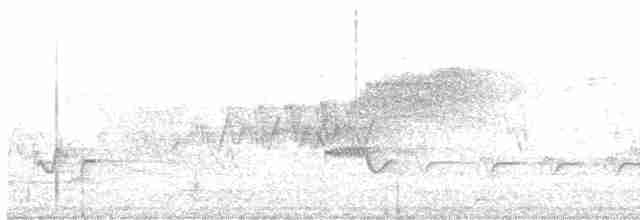 Cerulean Warbler - ML618677606