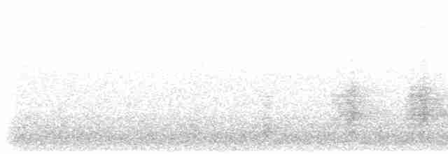Oriental Reed Warbler - ML618678907