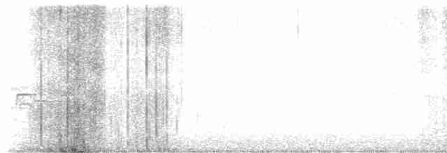 Münzevi Bülbül Ardıcı - ML618678959