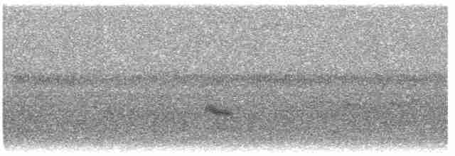 Büyük Mor Kırlangıç - ML618679982