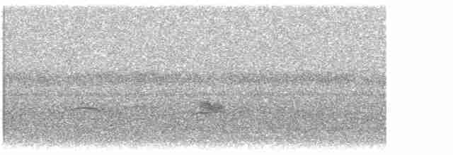 Büyük Mor Kırlangıç - ML618679984