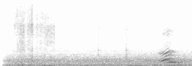 Длиннохвостый крапивник - ML618681625