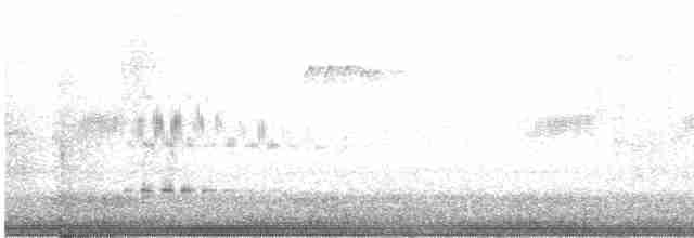 Kara Boğazlı Kolibri - ML618681703