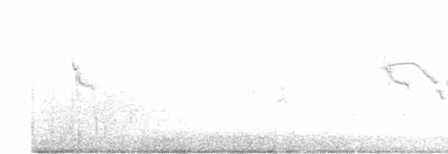 Длиннохвостый крапивник - ML618682531