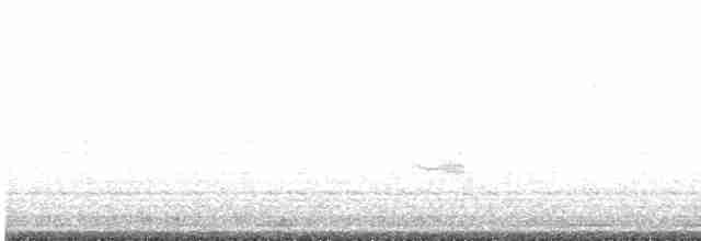 Дрізд-короткодзьоб бурий - ML618682822