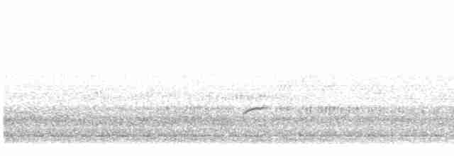 Дрізд-короткодзьоб Cвенсона - ML618682843