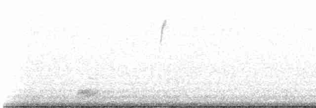 Black-crowned Night Heron - ML618683555