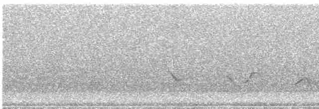 Чернокрылая пиранга - ML618683687