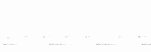 Сичик-горобець болівійський - ML618684116