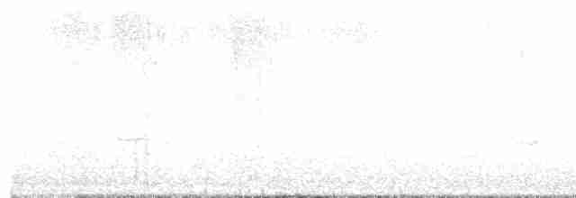 Kara Kanatlı Piranga - ML618685776