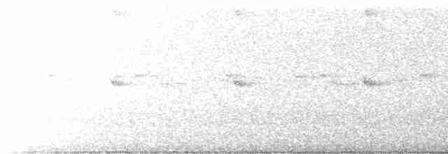 Сова-лісовик смугаста - ML618686417