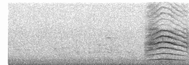 Пересмішник сірий - ML618686918
