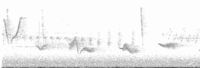 Чернокрылая пиранга - ML618688316
