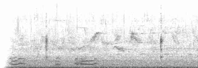 Короткоклювый бекасовидный веретенник (hendersoni) - ML618689767