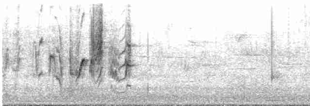 Деревенская ласточка (erythrogaster) - ML618689775