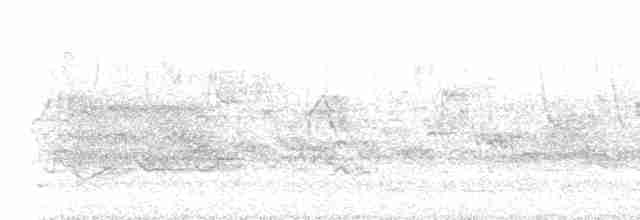 Віреон світлобровий (підвид gilvus) - ML618689786