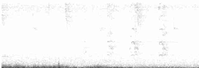 Weißstirnamazone - ML618690112