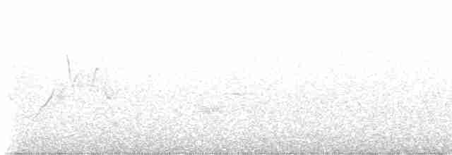 Chestnut-sided Warbler - ML618690716