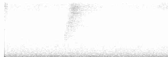 Troglodyte à poitrine grise - ML618690857