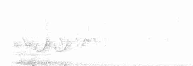 Red Crossbill (Douglas-fir or type 4) - ML618691697