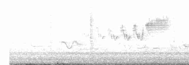 Cerulean Warbler - ML618691899