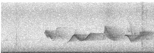 Чернокрылая пиранга - ML618691950