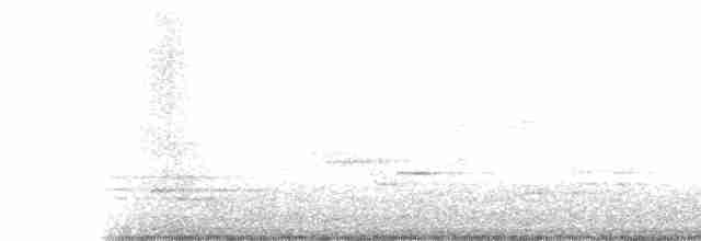 Дрізд-короткодзьоб Cвенсона - ML618692310