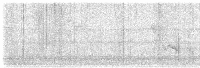 Чернокрылая пиранга - ML618692851