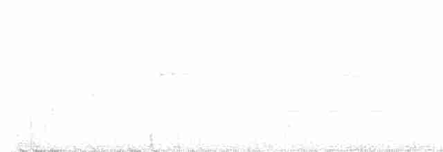 Очковая хвойница - ML618693035