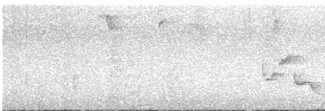 Каролинский крапивник - ML618693444