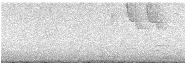 Ak Tepeli Baştankara - ML618693561