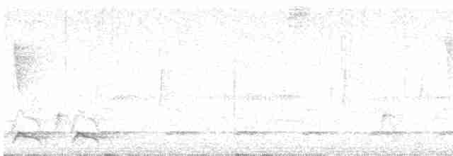 Mor Trogon - ML618693604