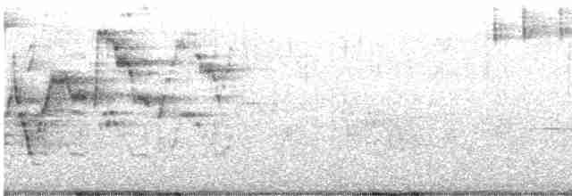 Дрізд-короткодзьоб Cвенсона - ML618693765