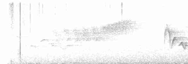 Cerulean Warbler - ML618693895