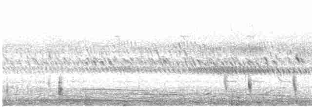 Long-tailed Nightjar - ML618693984