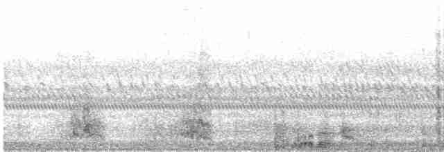 Long-tailed Nightjar - ML618694135